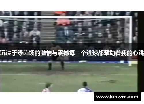 沉浸于绿茵场的激情与震撼每一个进球都牵动着我的心跳